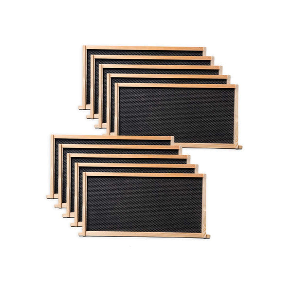 10 Deep Pine Wooden Frame Black Wax Plastic Foundation Unassembled For Deep Brood Bee Box