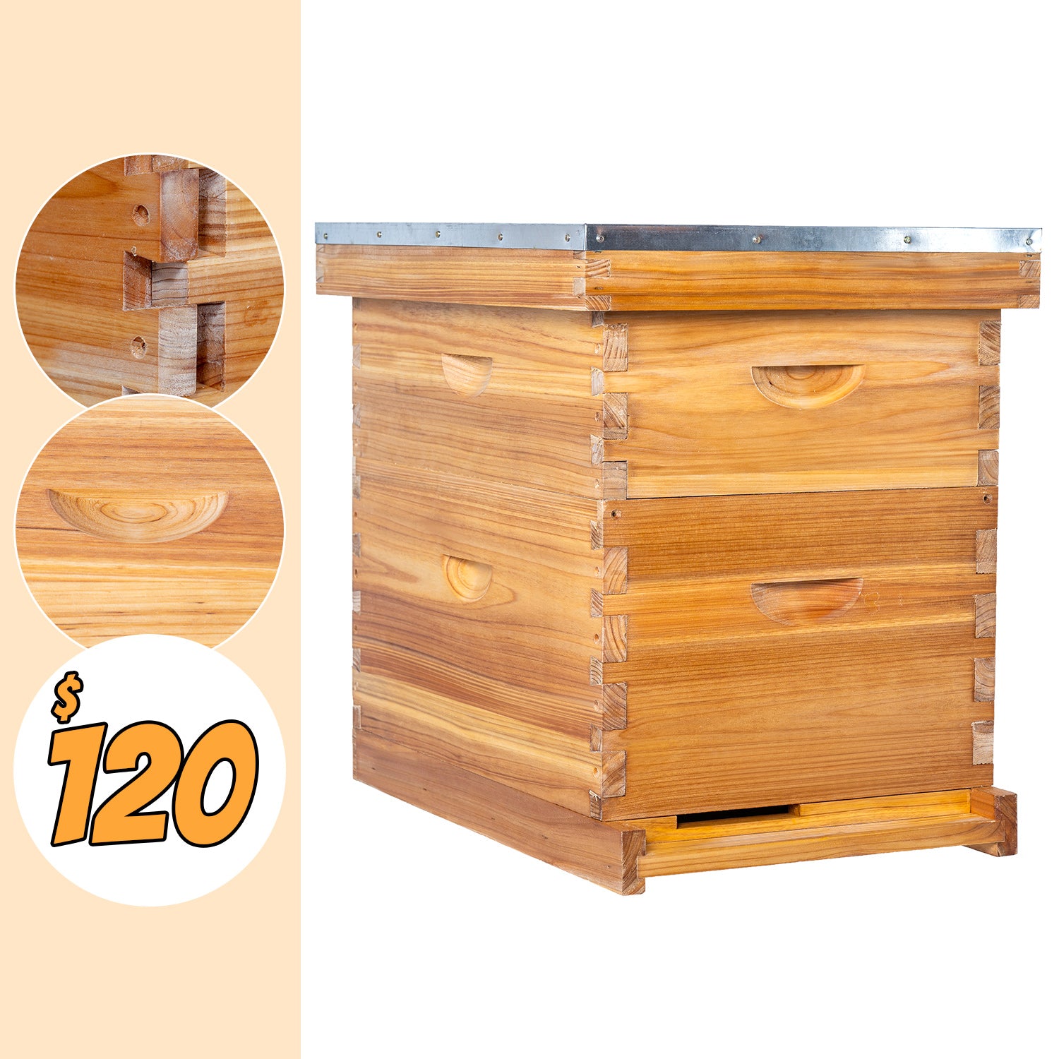 BeeCastle Beehive 10 Frame 2 Layer Complete Langstroth Beeswax Coated ...