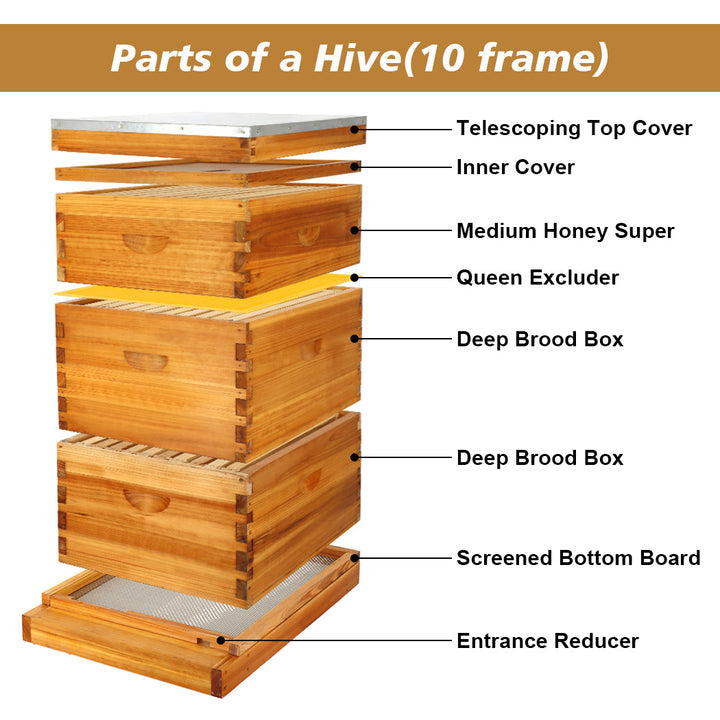 BeeCastle Hives 10 Frame 3 Layer Screened Bottom Board Layered diagram