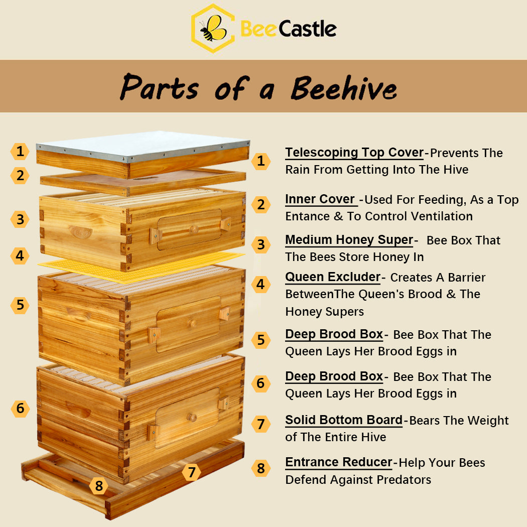 BeeCastle Hives 10 Frame 3 Layer Wax Coated Cedar Wood Beehive Kit  Layered diagram