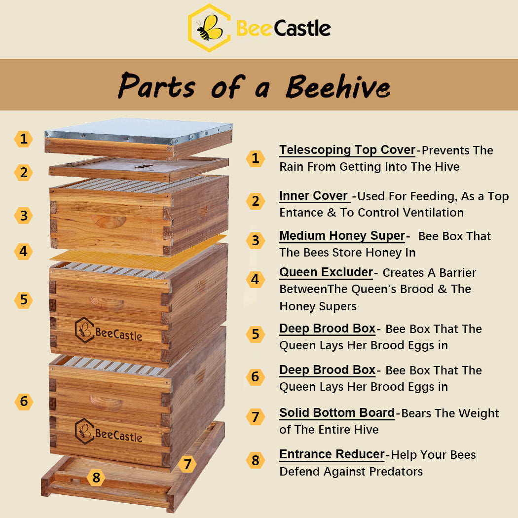 BeeCastle Hives Wholesale (20 sets) BeeCastle 10 Frame Beeswax Coated Beehive 2 Deep Bee hives, 1 Medium Box With Wooden Frame And Beeswax Foundation