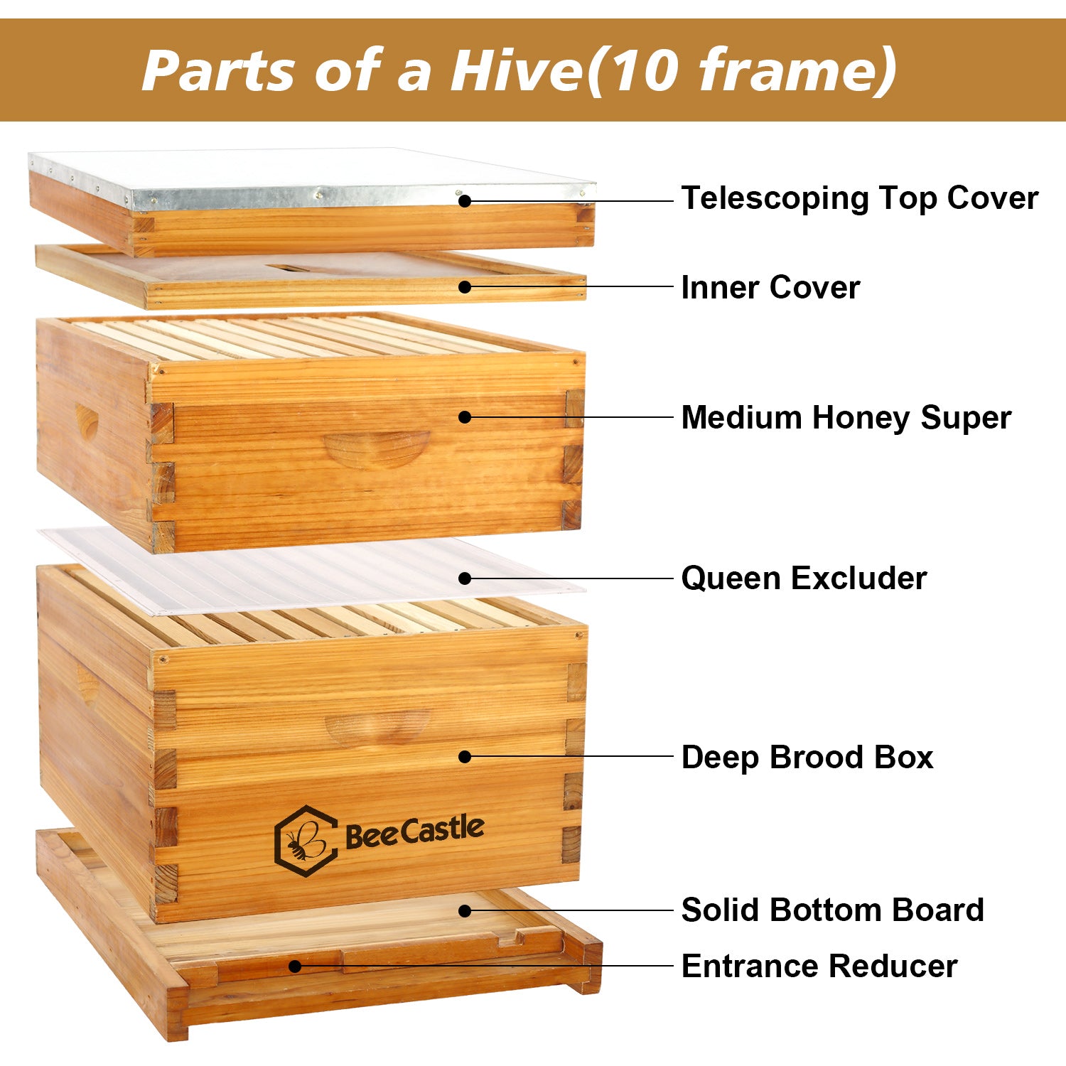 Experience Unmatched Hive Excellence | BeeCastle 10 Frame Beeswax ...