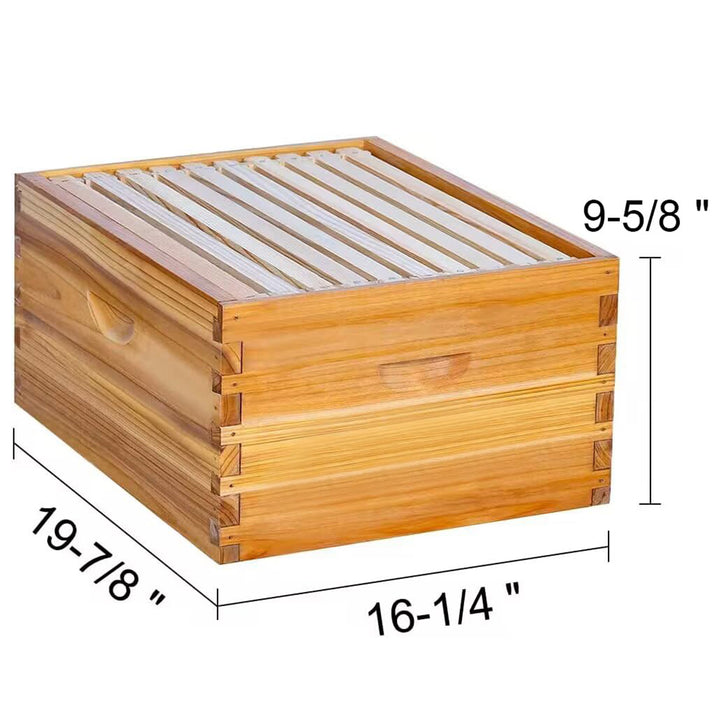 10-frame deep box measures