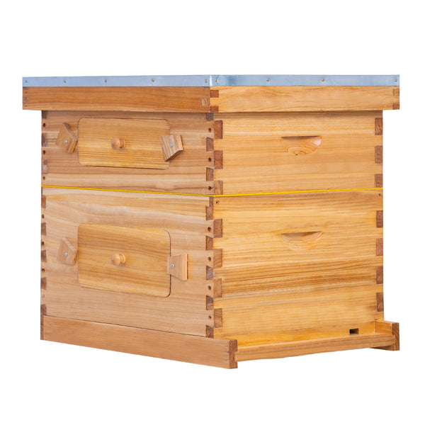 BeeCastle Hives 10 Frame 2 Layer Wax Coat Cedar Wood Beehive Kit with 1 Honey Super Acrylic Window Bee Box and 1 Deep Viewing Window Box, Pine Wooden Frames, and Beeswax-Plastic Foundation