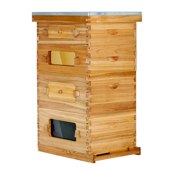 BeeCastle Hives（16 sets） 10 Frame 4 Layer Wax Coated Beehive Include 2 Super Acrylic Window Box And 2 Deep Window Box With Pine Wooden Frame And Beeswax Coated Plastic Foundation