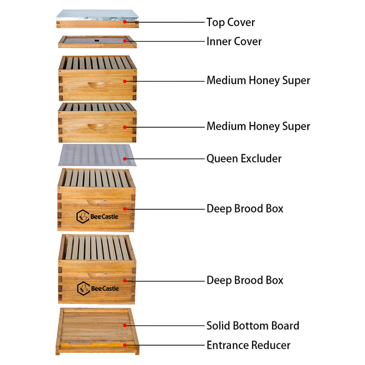 10-Frame Beehive Layer Overview