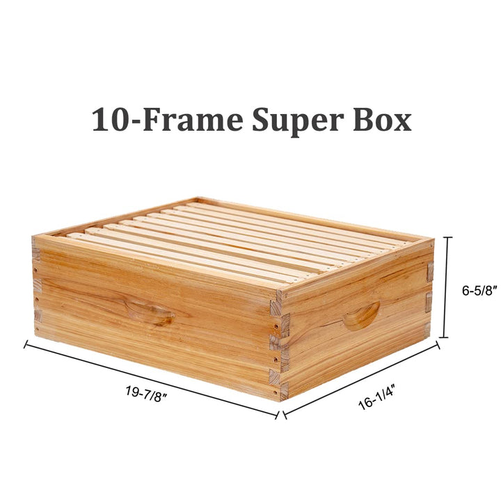 10-frame shallow super box: Shallow boxes are often used for storing extra honey.They are lighter and easier to handle than deep boxes.