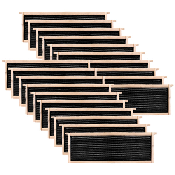 20 Packs Medium Wooden Frames with Black Foundation Unassembled 6-1/4-Inch