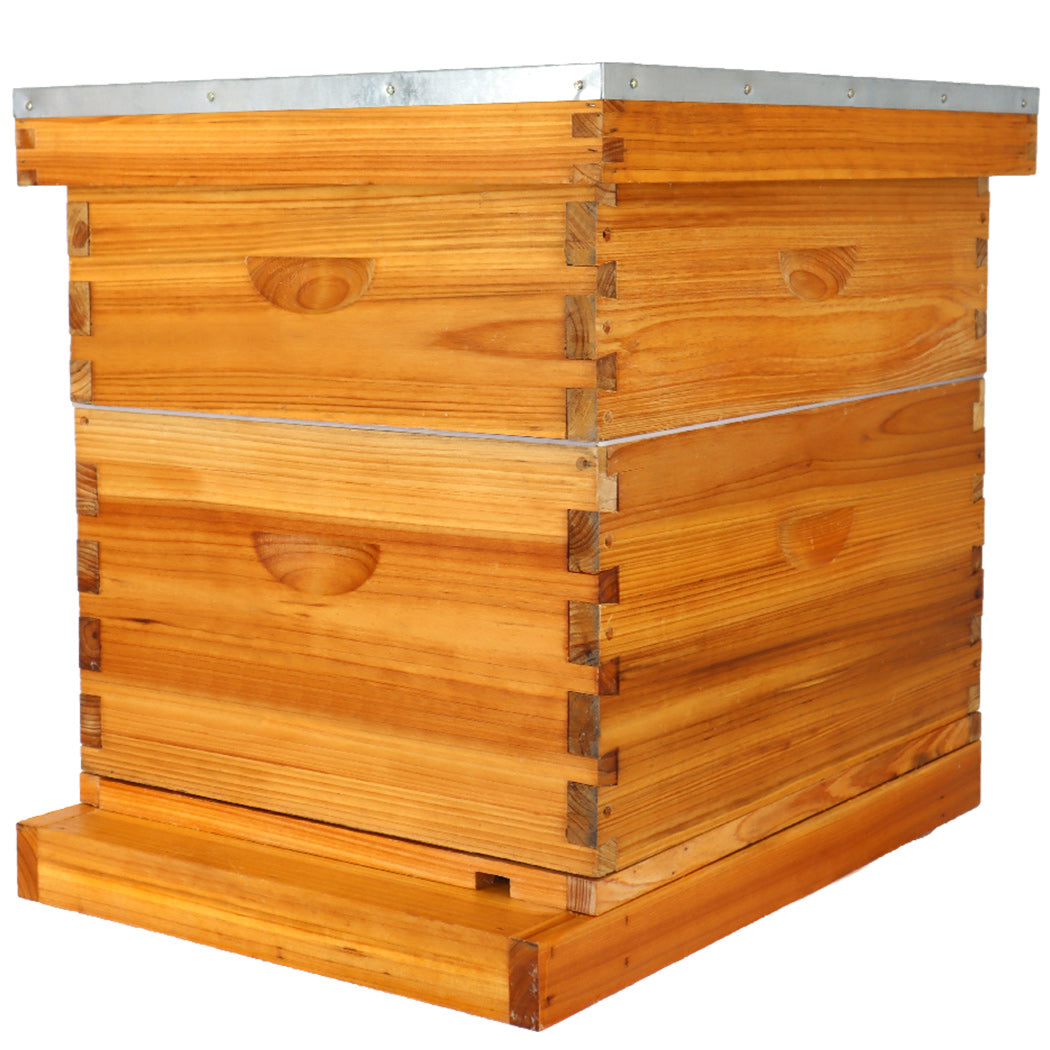 BeeCastle Hives 10 Frame 2 Layer Screened Bottom Board Wax Coat Beehive Kit