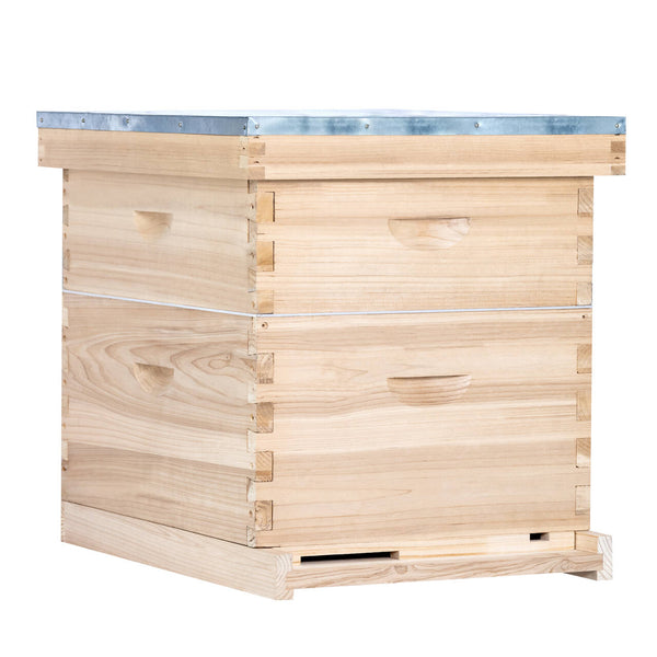 BeeCastle Natural Hive 10 Frame 2 Layer Beehive Include 1 Deep Cedar Wood Box And 1 Cedar Wood Super Box With Wooden Frame And Beeswax Plastic Foundation