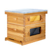 BeeCastle Hives 10 Frame 2 Layer Wax Coat Cedar Wood Beehive Kit with 1 Honey Super Acrylic Window Bee Box and 1 Deep Viewing Window Box, Pine Wooden Frames, and Beeswax-Plastic Foundation