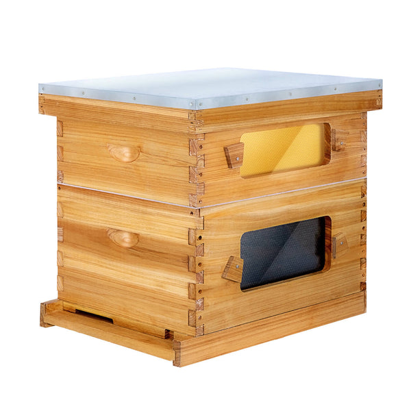 BeeCastle Hives 10 Frame 2 Layer Wax Coat Cedar Wood Beehive Kit with 1 Honey Super Acrylic Window Bee Box and 1 Deep Viewing Window Box, Pine Wooden Frames, and Beeswax-Plastic Foundation