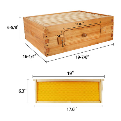 10 Frame Wax-coated Super Bee Box With Removable Window Beehive Box With Wooden Frame Beeswax Plastic foundation