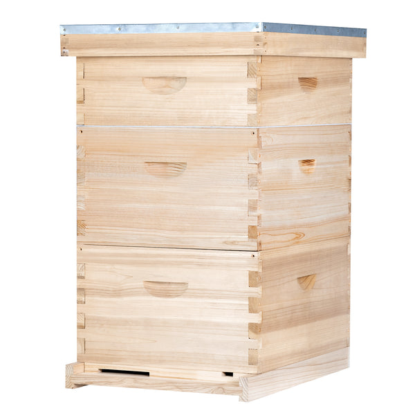 BeeCastle Hives Natural Hive 10 Frame 3 Layer:Crafted with 2 Deep Cedarwood Boxes and 1 Cedarwood Super Box,Including Premium Wooden Frames and Beeswax Plastic Foundation.