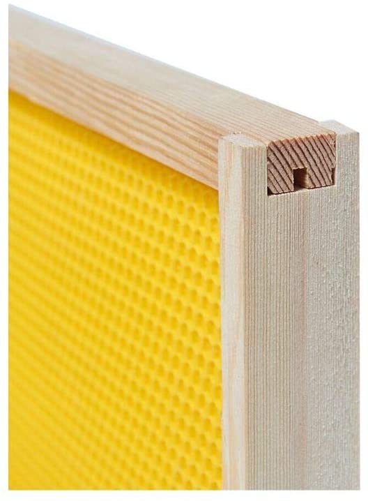 Pine Wooden Frames and Beeswax Plastic Foundation