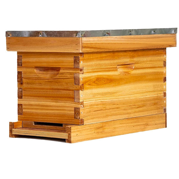 BeeCastle Hives Elevate Your Beekeeping with Logo Free 5 Frame Beehive Kit!Includes Top and Inner Cover, Bee Box with Wooden Frame and Beeswax Plastic Black Foundation, Plus a Solid Bottom Board.