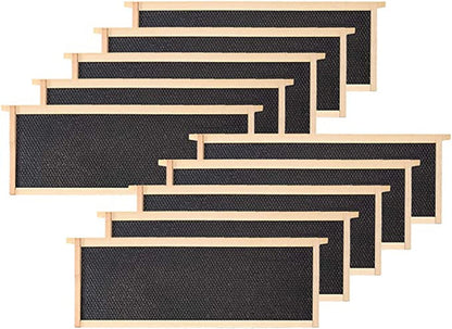 20 Packs Medium Wooden Frames with Black Foundation Unassembled , 6-1/4-Inch