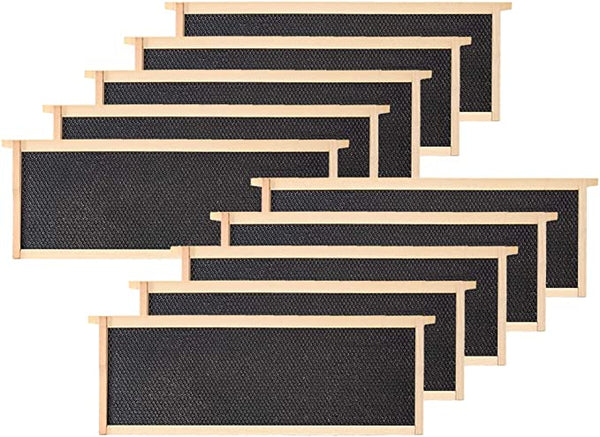 40 Packs Medium Wooden Frames with Black Foundation Unassembled 6-1/4-Inch