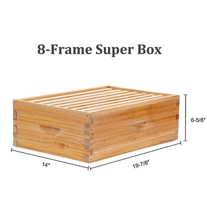 8-frame super box measures