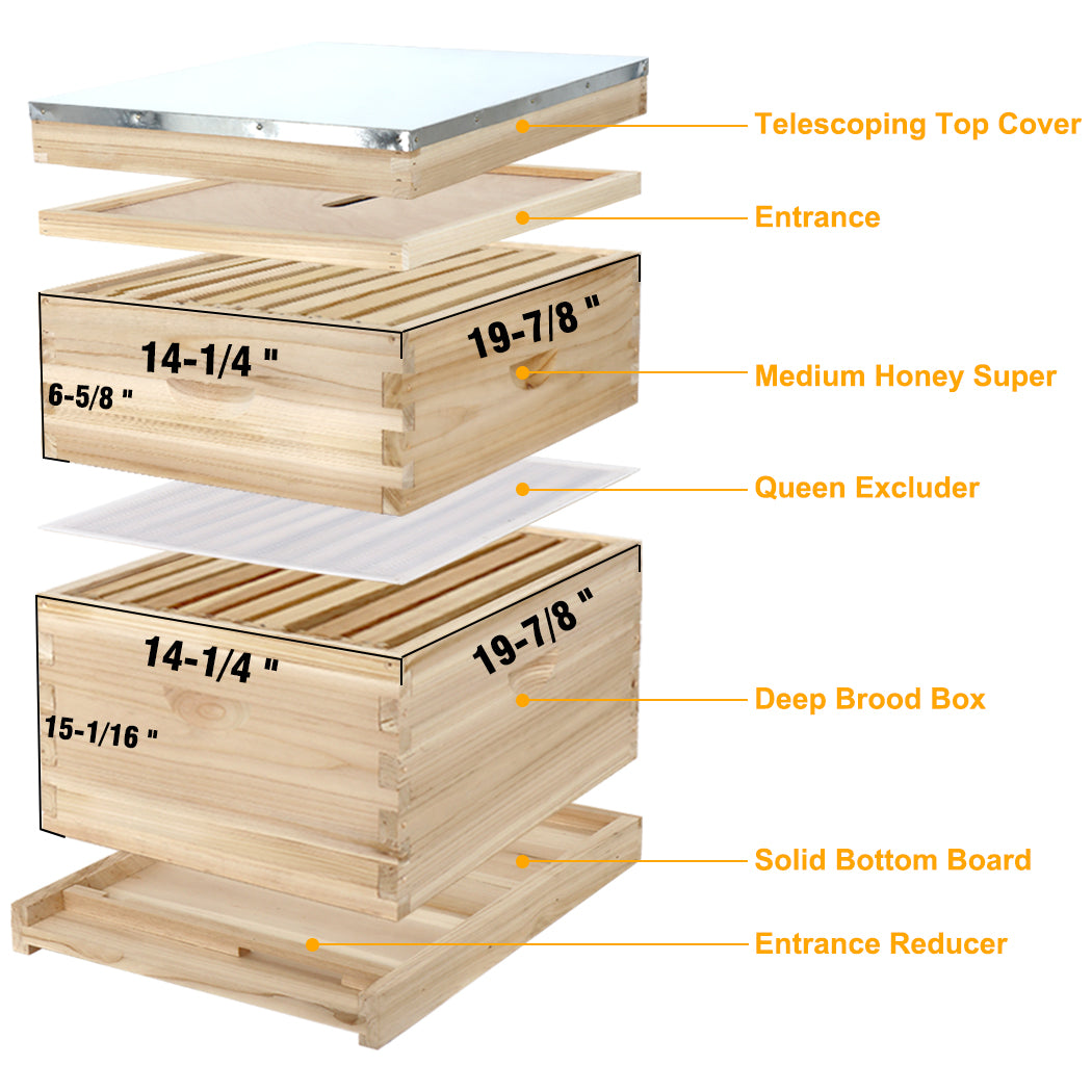 BeeCastle Hives 8 Frame 2 Layer Unwax Beehive Overview 