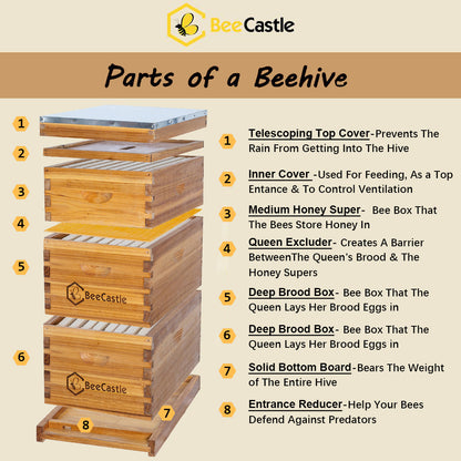 BeeCastle Hives Wholesale (20 sets) 8 Frame Beeswax Coated Unassemble Beehive 2 Deep, 1 Medium Box With Wooden Frame And Beeswax Foundation