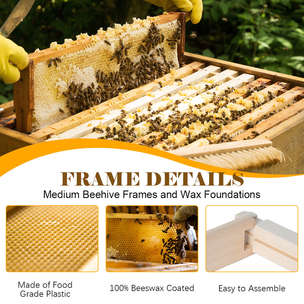 20 Packs Deep Pine Wooden Frames Yellow Wax Coat Plastic Foundation Unassembled Foundation For Deep Brood Bee Box, 9-1/8-Inch