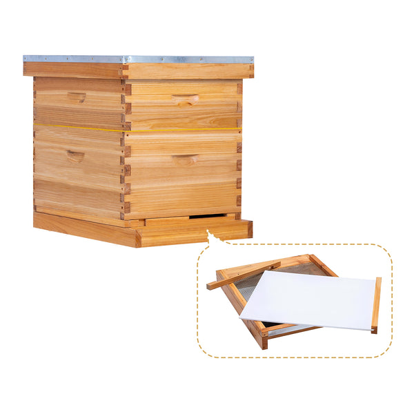 BeeCastle Hives 10 Frame 2 Layer Screened Bottom Board Wax Coat Beehive Kit with 1 Deep Bee Box,1 Honey Super Bee Box, Wooden Frames and Beeswax-Plastic Foundation for Optimal Ventilation and Productive Beekeeping