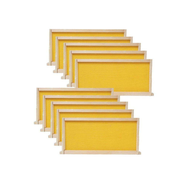 40 Packs Medium Wooden Frames Yellow Foundation Unassembled 6-1/4-Inch