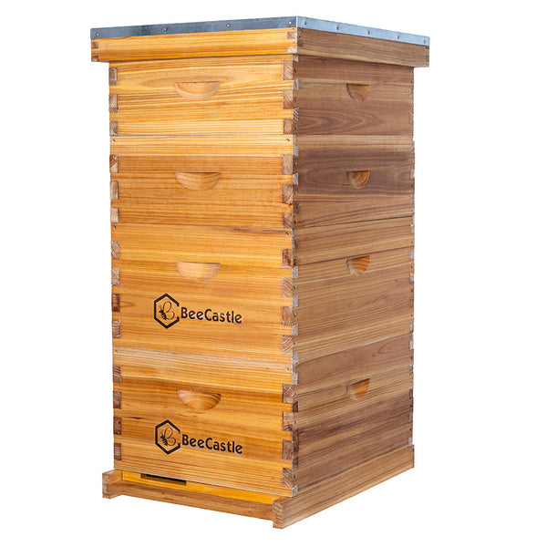 BeeCastle 8-Frame Langstroth Beehive – 100% Beeswax Coated with Pine Wooden Frames and Waxed Foundations, Includes 2 Deep Brood Boxes and 2 Medium Supers