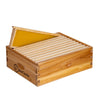 BeeCastle 10-Frame Unassembled Medium Super Beehive Box with Pine Wooden Frames and Beeswax-Coated Yellow Plastic Foundation