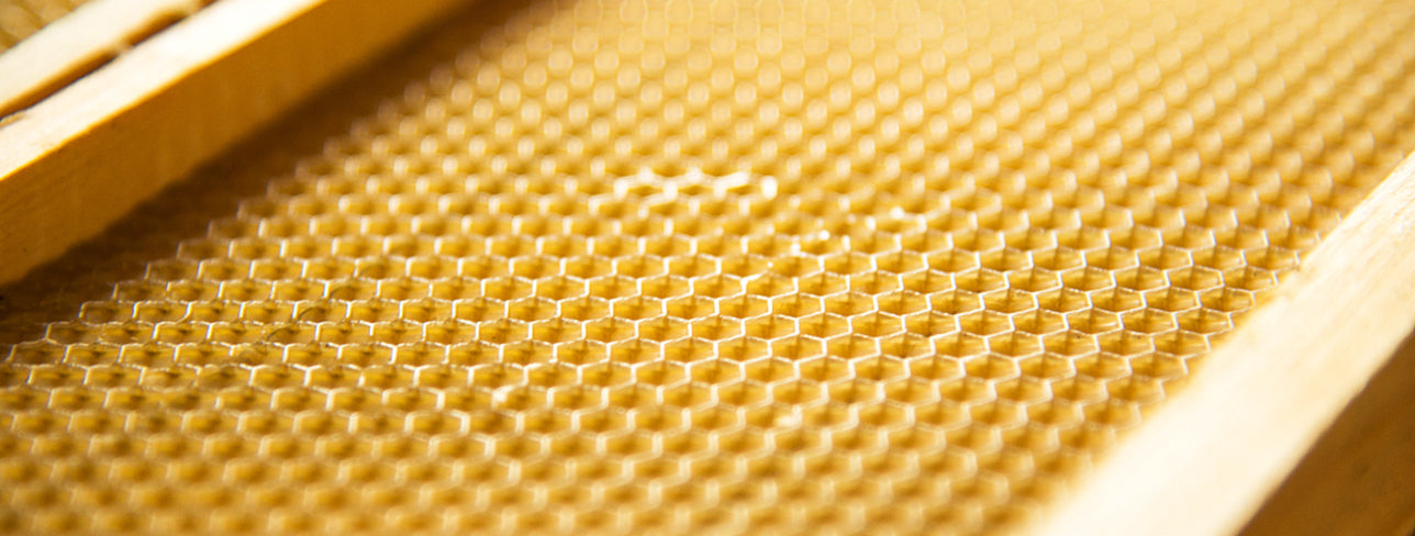 10pcs Bee Wax Foundation Bee Hive Wax Frames Base Sheets Bee Comb Honey  Frame Beeswax Sheets