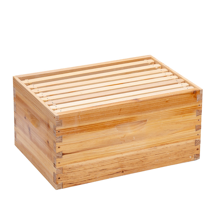 Logo Free Brood Deep Box