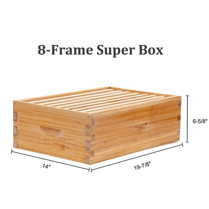 LOGO FREE 8 Frame 4 Layer Beehive super boxes