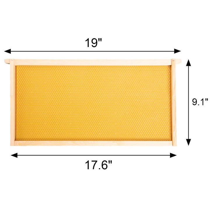 Pine Wooden Frames Yellow Wax Coat Plastic Foundation Unassembled Foundation For Deep Brood Bee Box