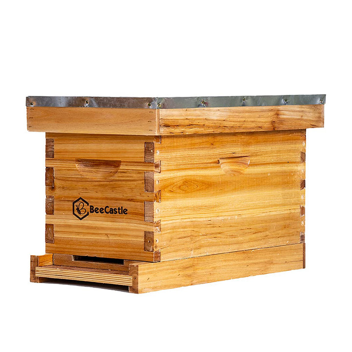 BeeCastle 5 Frame Beeswax Coated Beehive Nuc