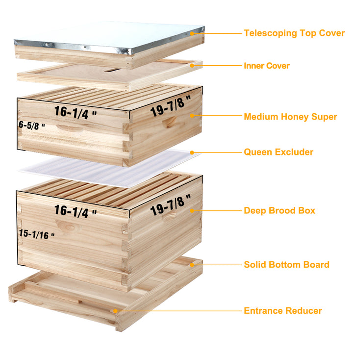 BeeCastle UNWAXED 10 Frame 2 Layer Beehive overview