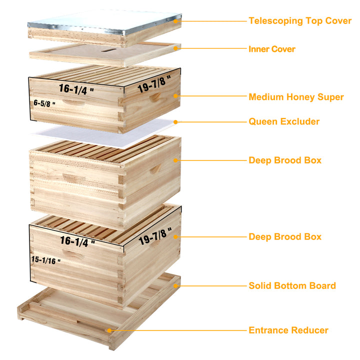 BeeCastle Hives Unwax 10 Frame 3 Layer Beehive overview