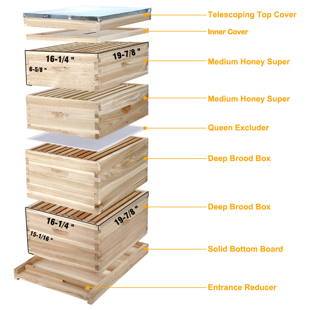 Beecastle Unwaxed 10 Frame 4 Layer Cedar Wood Beehive Kit Beecastle Hives