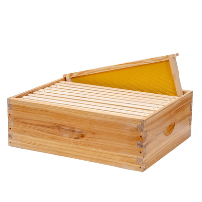 Super bee boxes are often used for storing extra honey. They are lighter and easier to handle than deep boxes.