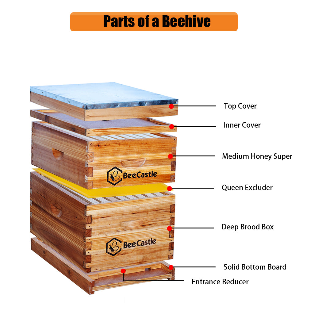 8 frame 2 layer bee hive Overview