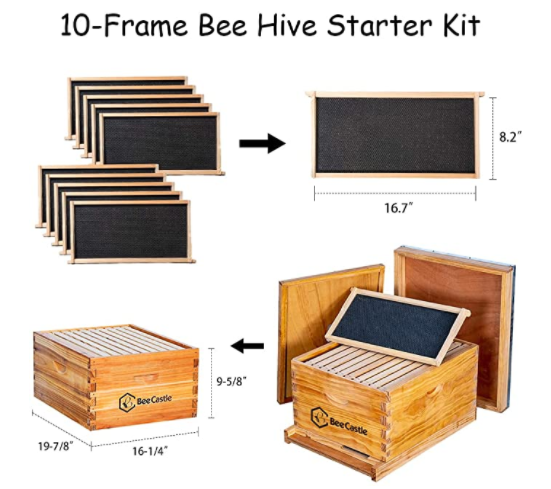 BeeCastle Professional Beekeeping Starter Kit overview